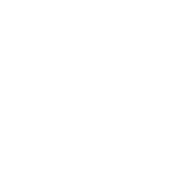 LQ_ICONS-1